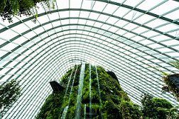 beautiful architecture building flower dome garden greenhouse forest travel 1
