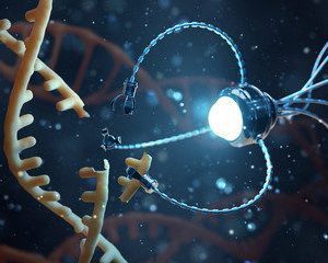 Industry Program In Nanotechnology