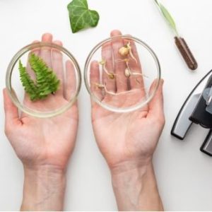 Bio refinery- From Biomass to Value Based Bio products Course