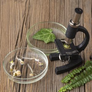 Antimicrobial and Cytotoxic Properties of Carbon Nanoparticles