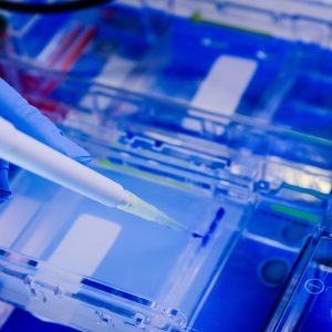 Cutting-Edge Advances in Bio-Nanotechnology