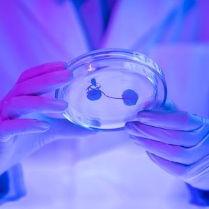 Nanotechnology in Forensic Biology Course