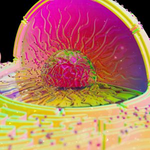 Nanoparticle-Based Detection for Enhanced Sensitivity Course