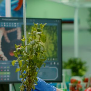 DNA-Based Biosensors for Environmental Monitoring Course