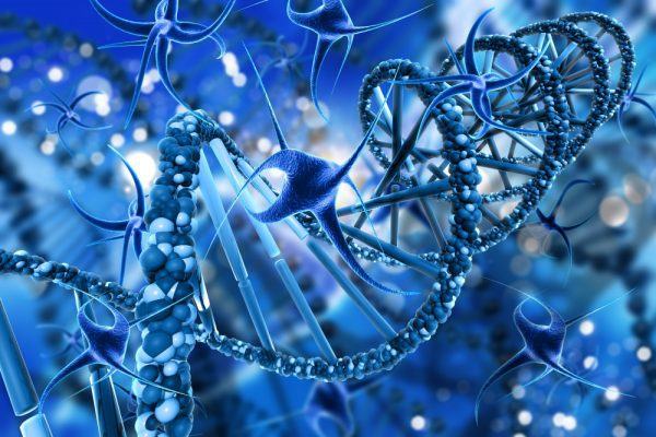 Advanced Internship in Computer-Aided Drug Discovery: Molecular Docking, QSAR, and Pharmacophore Modeling