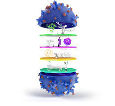 Single-Cell and Spatial Multi-Omics in R: From Cell Annotation to Tissue-Level Discovery