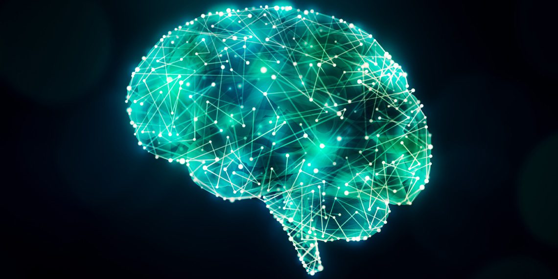 brain activity connections
